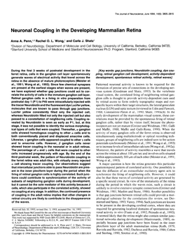 Neuronal Coupling in the Developing Mammalian Retina