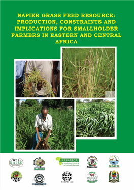 Napier Grass Feed Resource: Production, Constraints and Implications for Smallholder Farmers in Eastern and Central Africa
