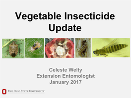 Vegetable Insecticide Update