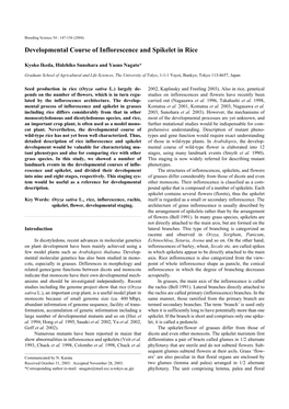 Developmental Course of Inflorescence and Spikelet in Rice