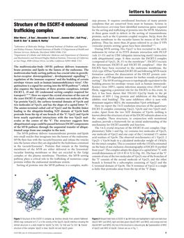 Structure of the ESCRT-II Endosomal Trafficking Complex