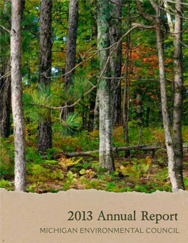 2013 Annual Report 602 W