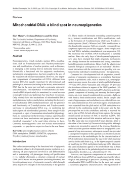 Mitochondrial DNA: a Blind Spot in Neuroepigenetics