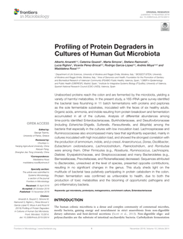 Profiling of Protein Degraders in Cultures of Human Gut Microbiota