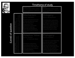 Of Question Adaptive Value Mechanism Phylogeny Ontogeny