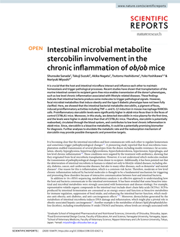 Intestinal Microbial Metabolite Stercobilin Involvement in The