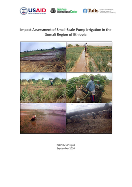 Impact Assessment of Small-Scale Pump Irrigation in the Somali