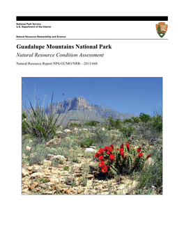 Guadalupe Mountains National Park Natural Resource Condition Assessment