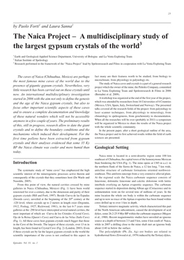 The Naica Project – a Multidisciplinary Study of the Largest Gypsum Crystals of the World3