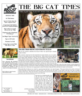 The Big Cat Times Three Tigers Find “Fur-Ever” Home at Big Cat Rescue