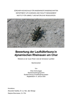 Bewertung Der Laufkäferfauna in Dynamischen Rheinauen Um Chur Mitarbeit an Der Neuen Roten Liste Der Schweizer Laufkäfer