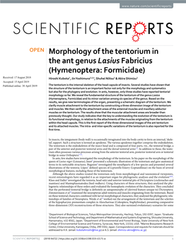 Morphology of the Tentorium in the Ant Genus Lasius Fabricius