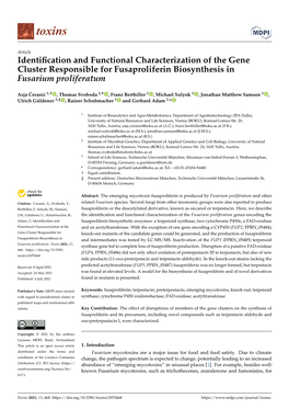 Identification and Functional Characterization of the Gene