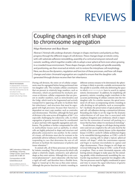 Coupling Changes in Cell Shape to Chromosome Segregation