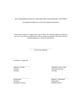 Relationships Between Large Benthic Foraminifera and Their