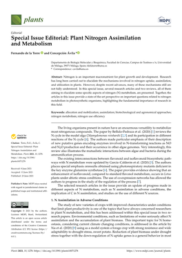 Special Issue Editorial: Plant Nitrogen Assimilation and Metabolism