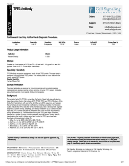 14779 TFE3 Antibody
