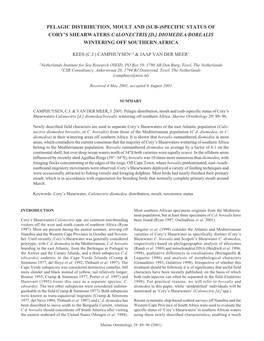 Specific Status of Cory's Shearwaters Calonectris