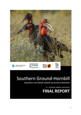 Southern Ground-Hornbill Population and Habitat Viability Assessment Workshop - Final Report