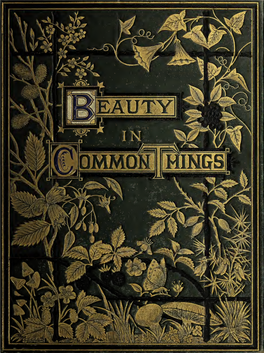 Beauty in Common Things