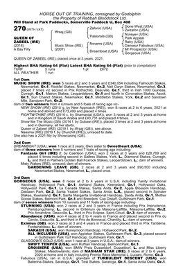 HORSE out of TRAINING, Consigned by Godolphin the Property of Rabbah Bloodstock Ltd