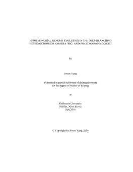 Mitochondrial Genome Evolution in the Deep-Branching Heteroloboseids Amoeba ‘Bb2’ and Pharyngomonas Kirbyi