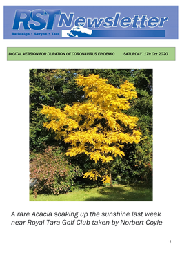 A Rare Acacia Soaking up the Sunshine Last Week Near Royal Tara Golf Club Taken by Norbert Coyle