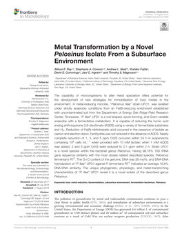 Metal Transformation by a Novel Pelosinus Isolate from a Subsurface Environment