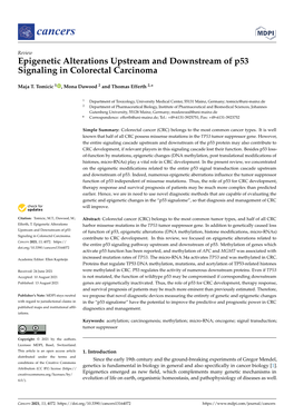 Epigenetic Alterations Upstream and Downstream of P53 Signaling in Colorectal Carcinoma