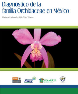 Diagnóstico De La Familia Orchidaceae En México