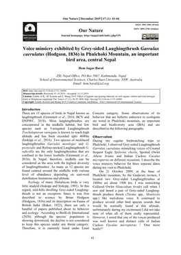 Voice Mimicry Exhibited by Grey-Sided Laughingthrush Garrulax Caerulatus (Hodgson, 1836) in Phulchoki Mountain, an Important Bird Area, Central Nepal