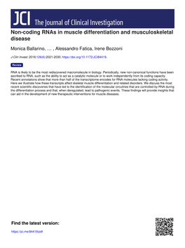 Non-Coding Rnas in Muscle Differentiation and Musculoskeletal Disease