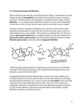 3.5 Photoisomerization of Bilirubin When Red Blood Cells Reach the End