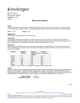 Mouse Anti-Calponin Catalog No