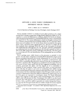 Amyloid a Gene Family Expression in Different Mouse Tissues