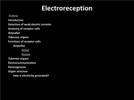 Electroreception