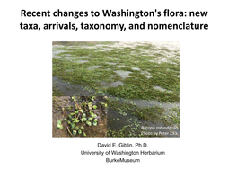 Increase in Washington Vascular Plant Taxa 2013-12017