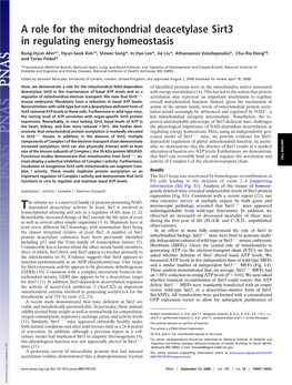 A Role for the Mitochondrial Deacetylase Sirt3 in Regulating Energy Homeostasis