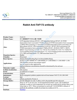 Rabbit Anti-TAF172 Antibody-SL12897R