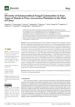 Diversity of Ectomycorrhizal Fungal Communities in Four Types of Stands in Pinus Massoniana Plantation in the West of China