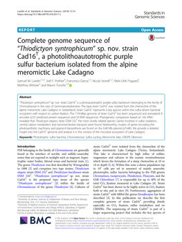 Complete Genome Sequence of “Thiodictyon Syntrophicum” Sp