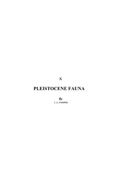 Pleistocene Fauna