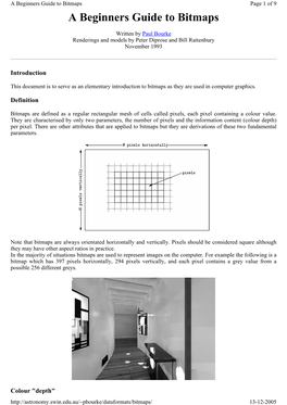 A Beginners Guide to Bitmaps Page 1 of 9 a Beginners Guide to Bitmaps