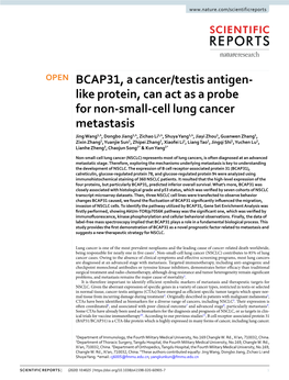 BCAP31, a Cancer/Testis Antigen-Like Protein, Can Act As a Probe for Non