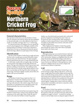 Northern Cricket Frog Acris Crepitans Photo-Rick Kaval ENDANGERED