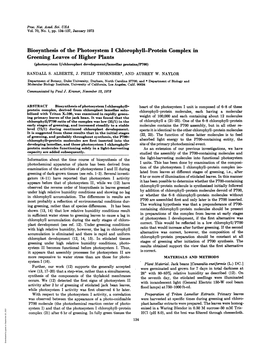 Biosynthesis of the Photosystem I Chlorophyll-Protein Complex in Greening Leaves of Higher Plants (Photosystem I/Chloroplast Development/Lamellar Proteins/P700)