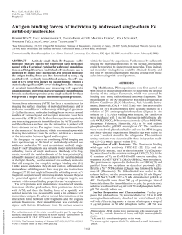 Antigen Binding Forces of Individually Addressed Single-Chain Fv Antibody Molecules