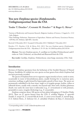 Two New Entyloma Species (Entylomatales, Ustilaginomycotina) from the USA