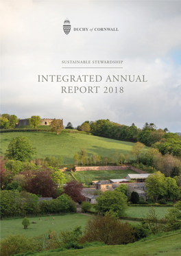 INTEGRATED ANNUAL REPORT 2018 INTEGRATED ANNUAL REPORT 2018 for the Year Ended 31St March 2018