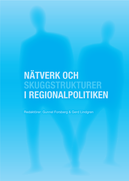 Nätverk Och Skuggstrukturer I Regionalpolitiken